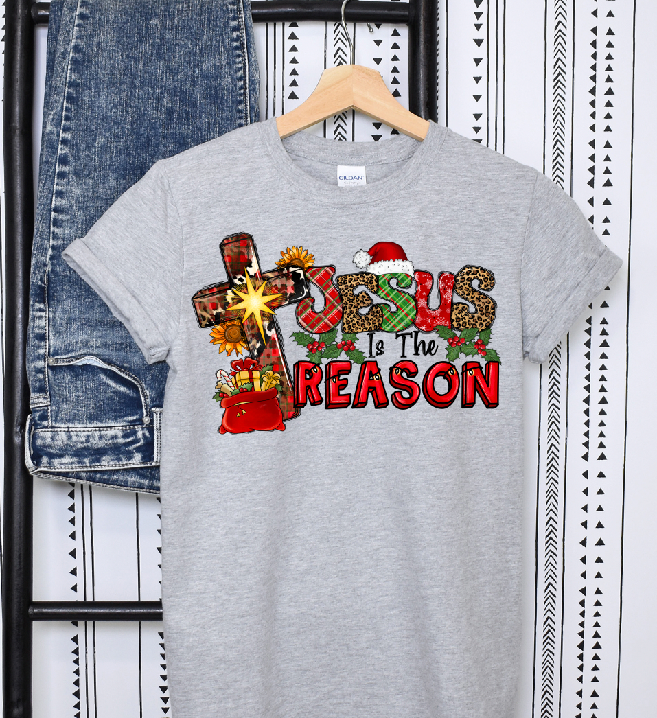 Jesus is the Reason Short sleeve t shirt