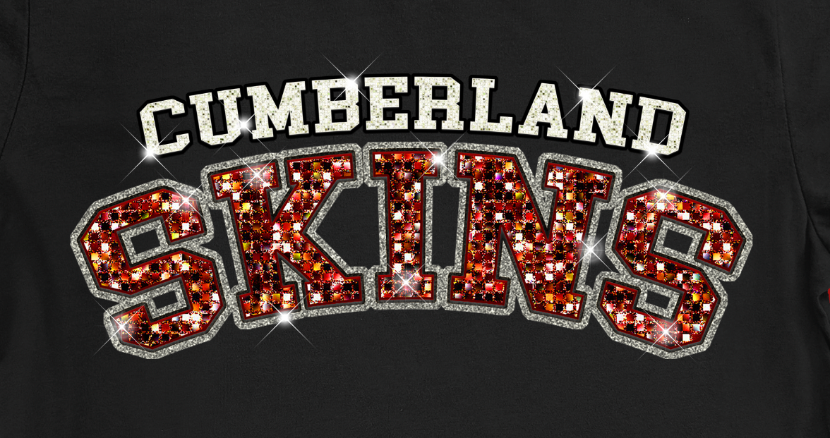 CUMBERLAND ELEMENTARY SCHOOL REDSKINS LOGO SIMULATED BLING PRINT.
