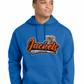 WILLIAMSBURG APPLIQUE HOODIE.