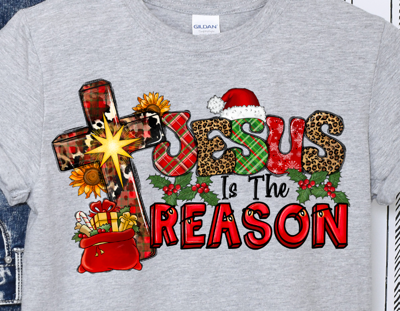 Jesus is the Reason Short sleeve t shirt