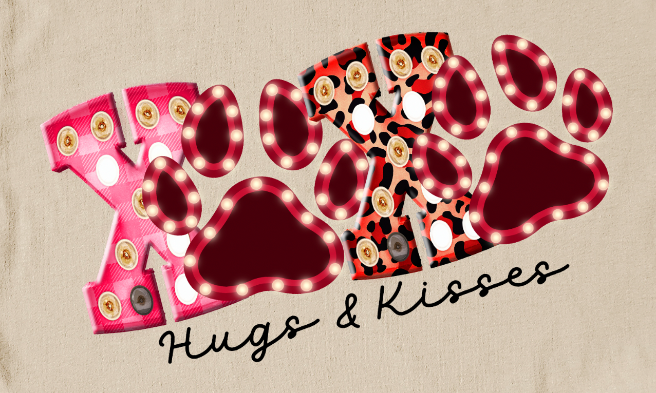 Hugs & Kisses Valentine T-shirt